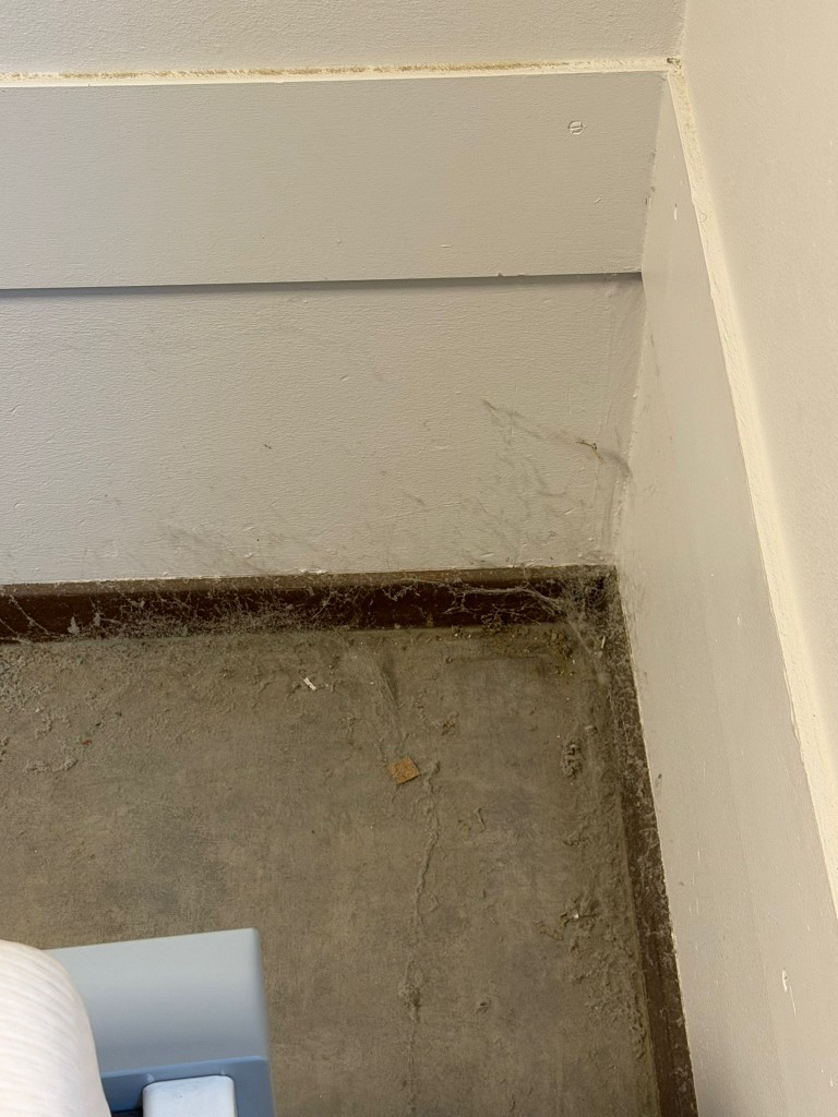 Schoonmaakproject Amatix Services — foto 19